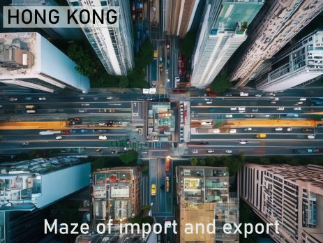 Understanding the maze of import and export rules in Hong Kong