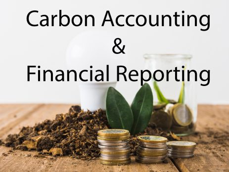 Carbon Accounting and Financial Reporting: How New Emission Regulations Affect Corporate Financials in 2024 (1/2)