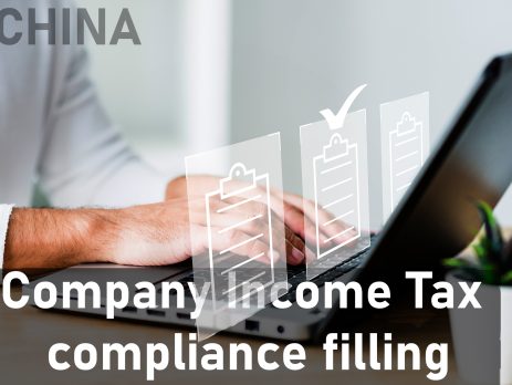 FY2024 Company Income Tax Declaration Guide: Compliance Filing and Optimization Strategies